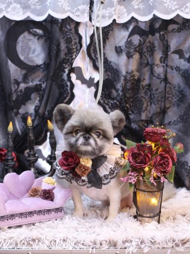 20231013リムルくん